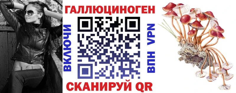 darknet наркотические препараты  Новотроицк  Псилоцибиновые грибы мицелий 